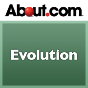 AboutEvolution's profile picture. Stay up-to-date on all things related to evolution.