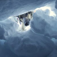 Lucero Ríos (@luceriosh) 's Twitter Profile Photo