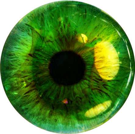 VisualesISC's profile picture. ¿Qué está pasando en las artes visuales de Sonora? Aquí te enteras. ¡Síguenos!