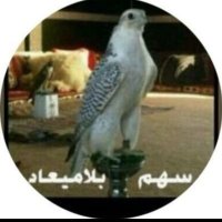 سهم بلاميعاد(@reyuf511) 's Twitter Profile Photo