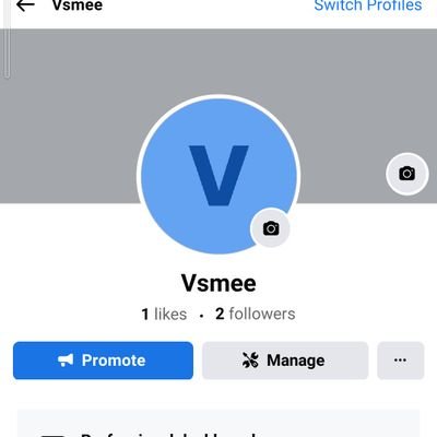 vsmee77 Profile Picture