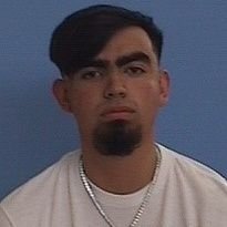 ElWalrex's profile picture. Minecraftero de corazón
                                                                                                 
🎮Twitch - ElWalrex     
🎮YT - Walrex