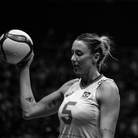 Pri Daroit (@pdaroit) 's Twitter Profile