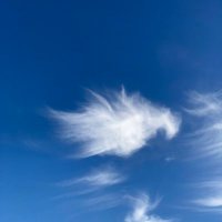 空と雲(ke-co) (@kru4cfvfxur4vqg) 's Twitter Profile