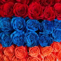 WorryAboutYou (@armenian_lives) 's Twitter Profile Photo WorryAboutYou (@armenian_lives) 's Twitter Profile Photo