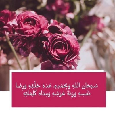 سعودية هاشمية - أستاذ الدراسات البيئية : الجغرافيا الحيوية - اعشق وطني المملكة العربية السعودية مملكة الانسانية 🇸🇦💚