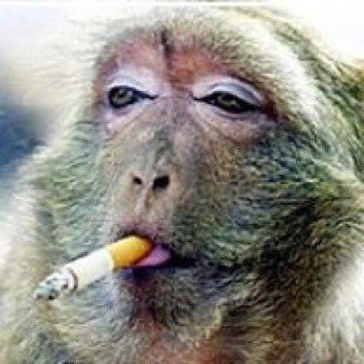 SirJJTrash's profile picture. 