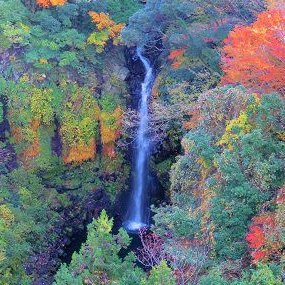 一般社団法人須津地区まちづくり協議会は、須津地区における住民主体のまちづくり活動を進めていく組織です。「住みよいまち、住み続けたいまち、「須津」をつくります」を目標像に掲げ、住民がともに手を携え、相互に助けあって、温かい心が通う優しいまちづくりを目指しています。