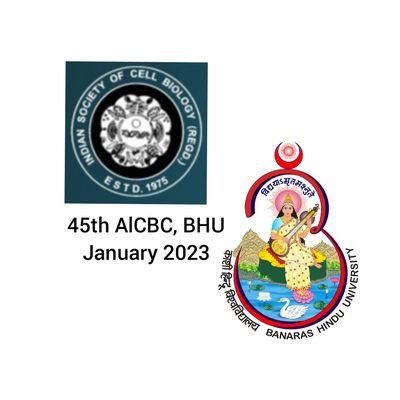 45aicbcbhu Profile Picture