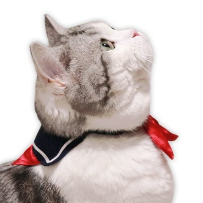 ねこまみた 様 猫の首輪 ねこまみた 様 猫の首輪 - メルカリ