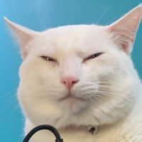 iggy san pablo (@igspector) 's Twitter Profile