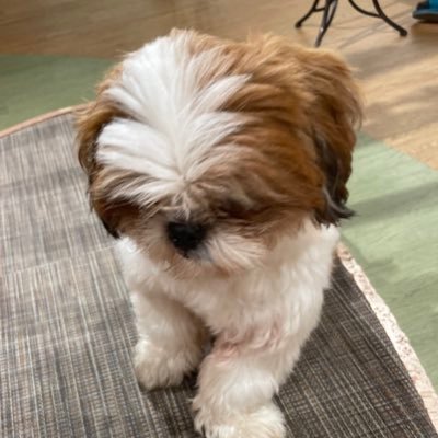 L_0523_st's profile picture. 副業アカ🔰閲覧用です