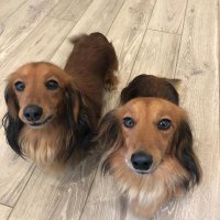 Rowland Huelin (@chooserowland) 's Twitter Profile Photo