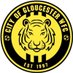 City of Gloucester WFC (@cityofgloswfc) Twitter profile photo City of Gloucester WFC (@cityofgloswfc) Twitter profile photo