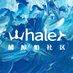 Whaler DAO (@whaler_dao) Twitter profile photo Whaler DAO (@whaler_dao) Twitter profile photo