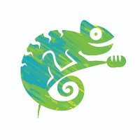 Chameleon Music Mktg (@chameleonmm) 's Twitter Profile
