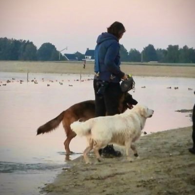 Fotografie- Natuur- Maashorst - IVN - sVLUden- Blipfoto- doe maar gewoon - raap zwerfvuil op in de natuur - ik 💙🐕 🐕- verslaafd aan 🍫 ❤️🧑🏻💼🍄🐂🐃🌸🌻🦋🐞