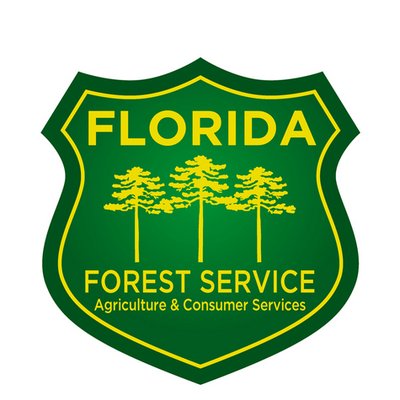 Florida Forest Service Flforestservice Twitter