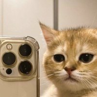 babyaik (@aikkewz2) 's Twitter Profile
