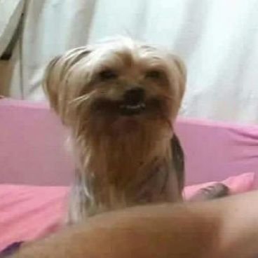 a charmさんのプロフィール画像