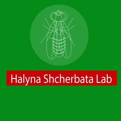 Halyna Shcherbata Lab
