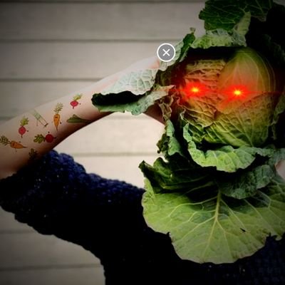 lukas_rola's profile picture. #georangepilled