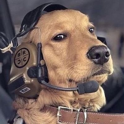 _NgaNga_Jr's profile picture. Petrol Head⛽
Everything Motorsports 🏍️🏎️
Scuderia Ferrari🔴
Why So Serious❔
M🦍I🦍A
Manchester is Red🔴