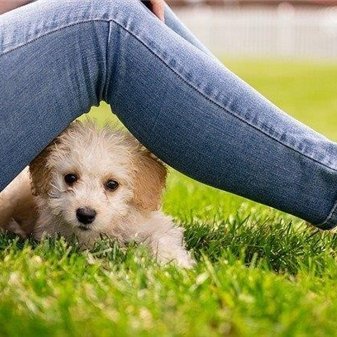 子育て中でも実践可能なカンタン副業を紹介しています💙スマホがあればどこでもお仕事可能🌺自分のペースでできる時にやれます💞私自身3ヵ月で月100万円達成しました🌸本気で副業に興味がある方を全力でサポートしてます🌟無言フォロー大歓迎です💕