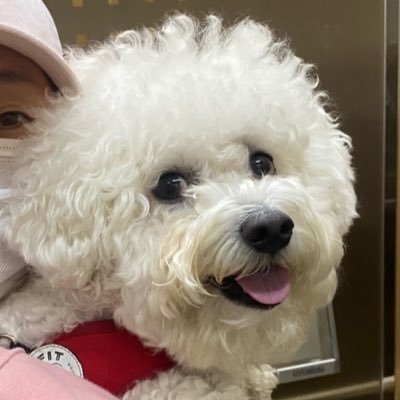 epnewtown128's profile picture. 돈, 권력을 얻기위해 뭐든 다하는 놈들 혐오