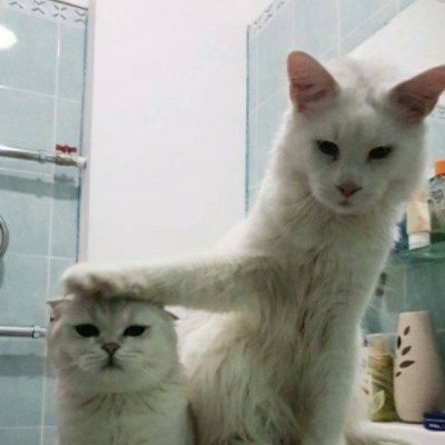 BANJAEYO's profile picture. 순진했던 내 탓이라 생각해야지.