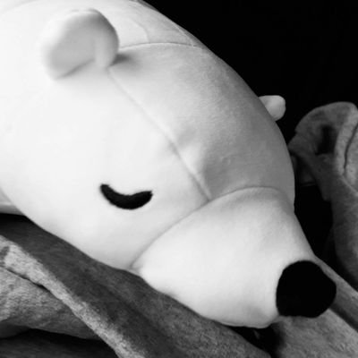 im_nnaskii's profile picture. (σ ≧▽≦)σ ♡ CHARLOTTE ♡ #SmileyofCharlotte ㋛ 🐰🥕🌻🏠 🪐
「  I'll always be there right by your side  」
