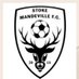 🦌 Stoke Mandeville FC 🦌 (@mandeville_fc) Twitter profile photo