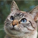 Kazumi12533395's profile picture. スキマ時間にやれるカンタン副業を紹介しています💙スマホさえあればどこでもお仕事可能⭐自分のペースでスキマ時間にやれます🌼私自身3ヵ月で月100万円達成しました♬本気で副業に興味がある方を無料でサポートしてます🔥無言フォロー大歓迎です💞