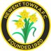 Newent Town AFC Development (@NewentTownDevs) Twitter profile photo