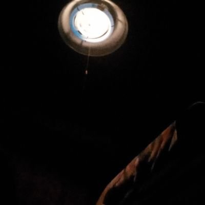 oouuuauuo's profile picture. 