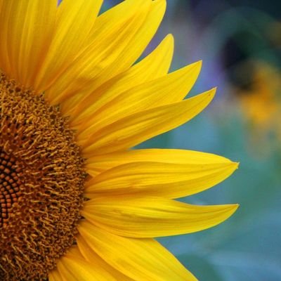 ClaudiaValenteC's profile picture. 