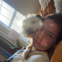 alex (@wecangetnoodles) 's Twitter Profile