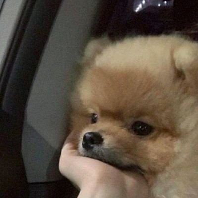 wirinranchana's profile picture. 