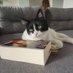 La Bibliomancienne (@labibliomancie) Twitter profile photo La Bibliomancienne (@labibliomancie) Twitter profile photo