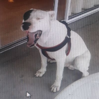 PedroMo08493831's profile picture. Simplemente Belleza Capilar