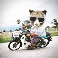 ʕ•ᴥ•ʔไม่ใส่หมวกกันน็อค 🆂🅼🅸🅻🅴🆈ヅ🐰🏡 (@aon_kklp) 's Twitter Profile Photo ʕ•ᴥ•ʔไม่ใส่หมวกกันน็อค 🆂🅼🅸🅻🅴🆈ヅ🐰🏡 (@aon_kklp) 's Twitter Profile Photo