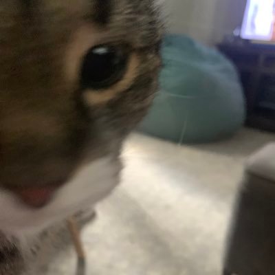 omahoeney's profile picture. if i eated soap