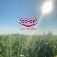 Dauphin Co-op Agro(@DauphinCoopAg) 's Twitter Profile Photo