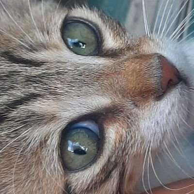 jwtsXswstaaa's profile picture. 