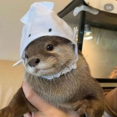 otterwoman's profile picture. nature valley granola bar