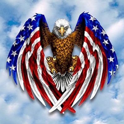 certdenied's profile picture. Conservative leaning libertarian. #America First #MAGA  Lawyer. Retweets and following not necessarily endorsements. Opinions my own.