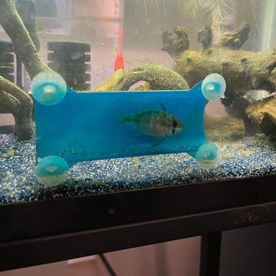 Shelter for your fish or just a place for them to relax.
Keeps your fish entertained by providing a place to swim through & around.
Brought to you by aahquarium