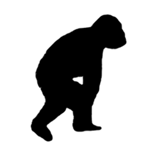 Il_Retrogrado's profile picture. Contro il regresso verso il quale ci stanno portando quelli che orwellianamente si definiscono progressisti.
Il futuro è alle nostre spalle.