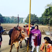 राज कुमार मोड़ (@raj_kumar5870) 's Twitter Profile Photo राज कुमार मोड़ (@raj_kumar5870) 's Twitter Profile Photo