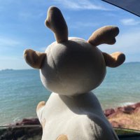 Dolphin (@yoyoyesss) 's Twitter Profile